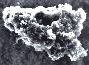 Comet dust microscopic photo