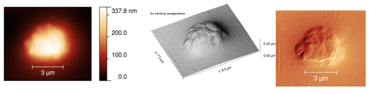 Three representations of the same scan of a calcite particle on the MIDAS Flight Spare instrument